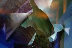 Barbara Goertz - unfolding